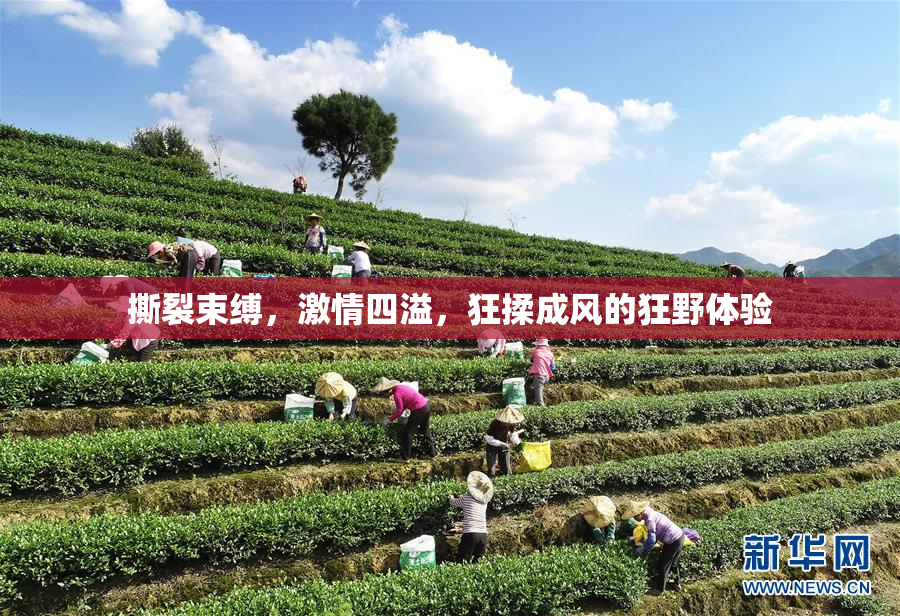 撕裂束缚，激情四溢，狂揉成风的狂野体验