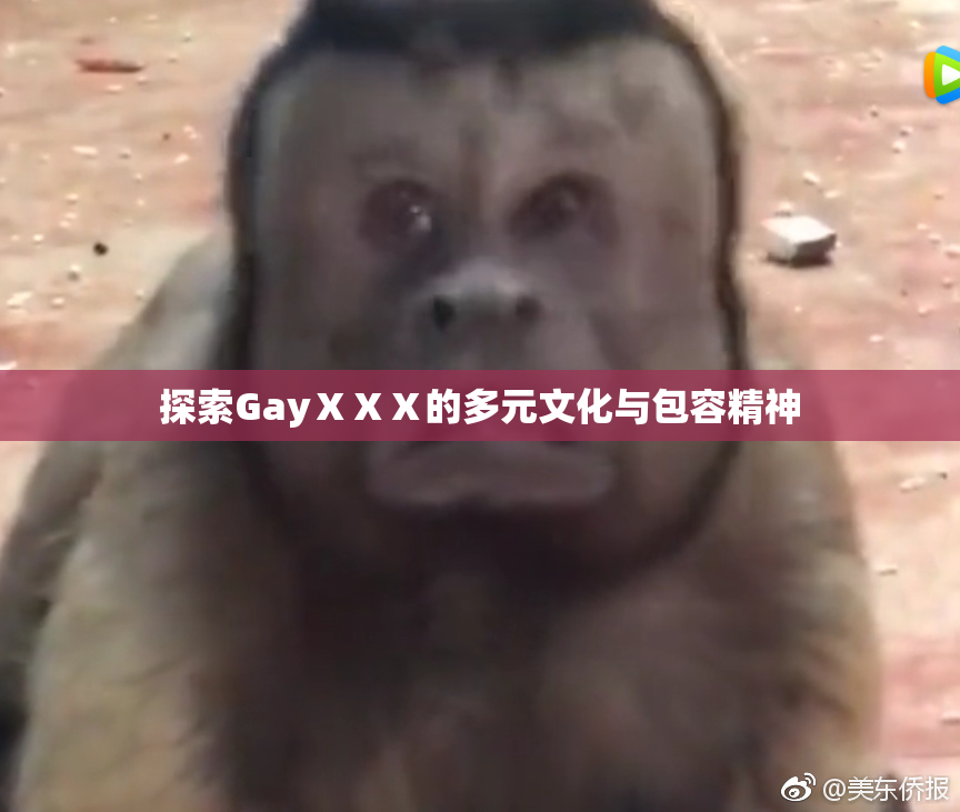 探索GayⅩⅩⅩ的多元文化与包容精神