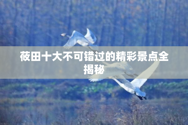 莜田十大不可错过的精彩景点全揭秘
