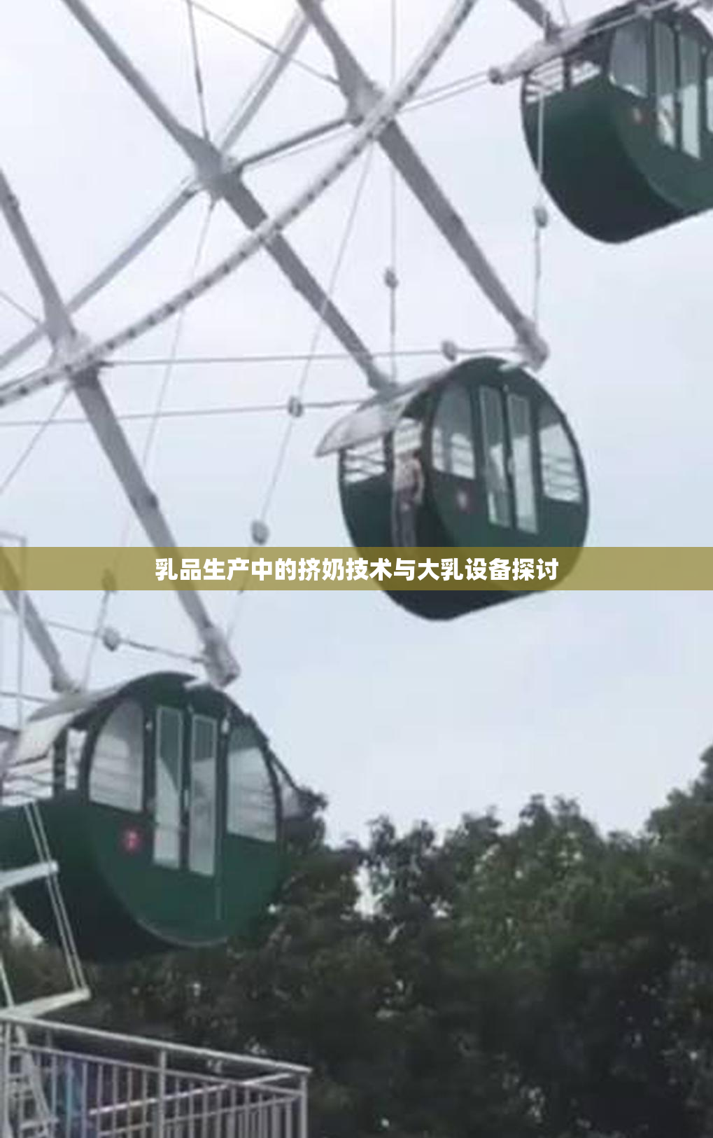 乳品生产中的挤奶技术与大乳设备探讨