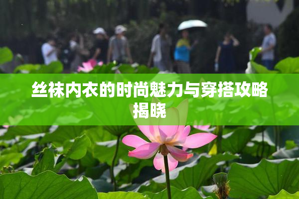 丝袜内衣的时尚魅力与穿搭攻略揭晓