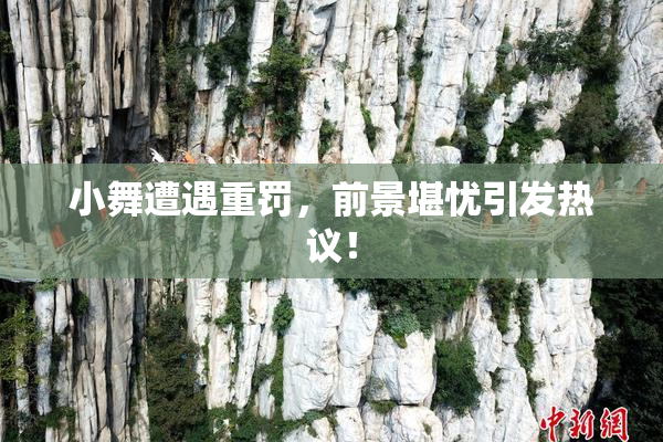 小舞遭遇重罚，前景堪忧引发热议！