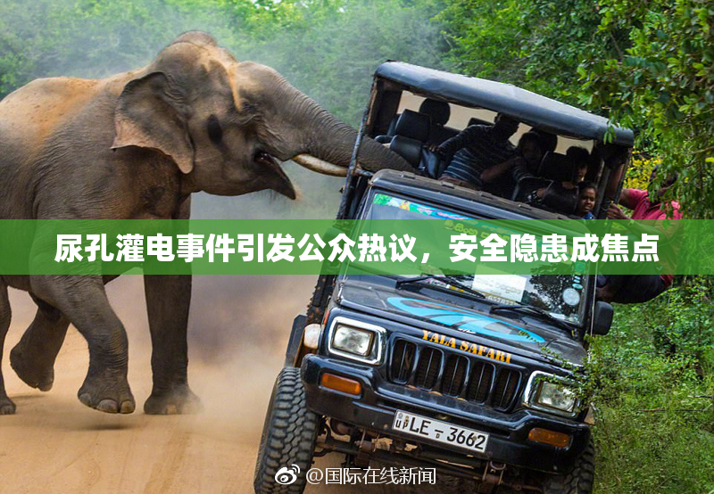 尿孔灌电事件引发公众热议，安全隐患成焦点