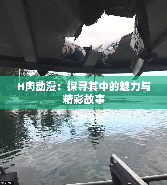 H肉动漫：探寻其中的魅力与精彩故事