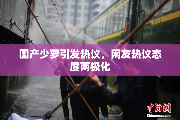 国产少萝引发热议，网友热议态度两极化