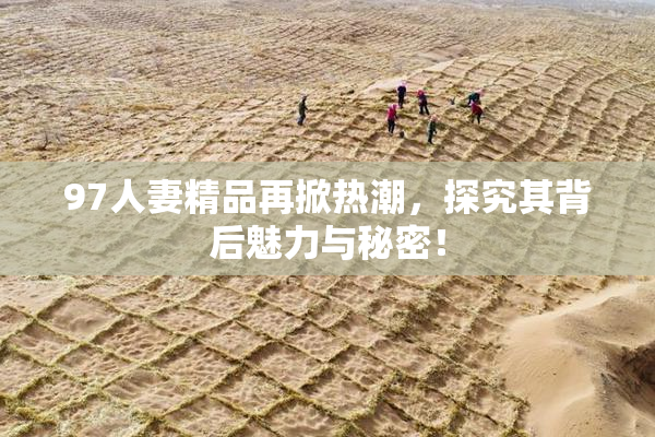 97人妻精品再掀热潮，探究其背后魅力与秘密！