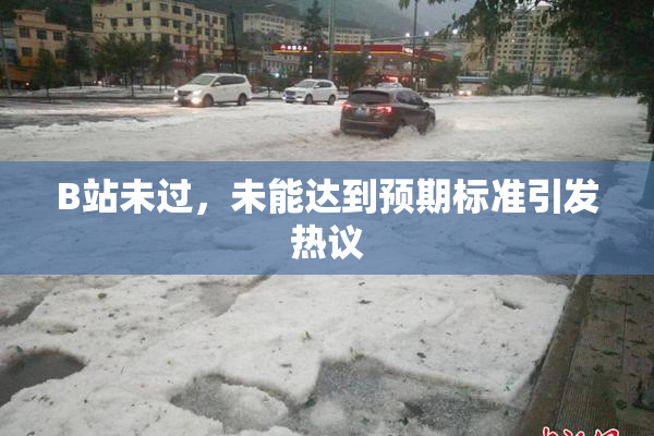 B站未过，未能达到预期标准引发热议