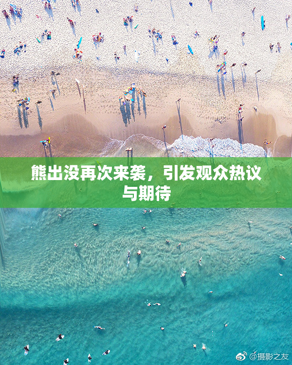 熊出没再次来袭，引发观众热议与期待