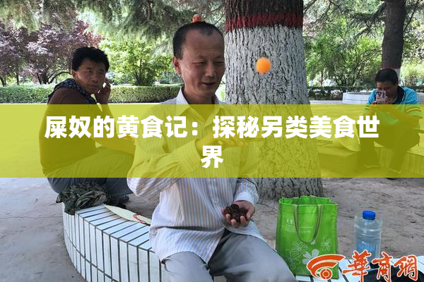 屎奴的黄食记：探秘另类美食世界