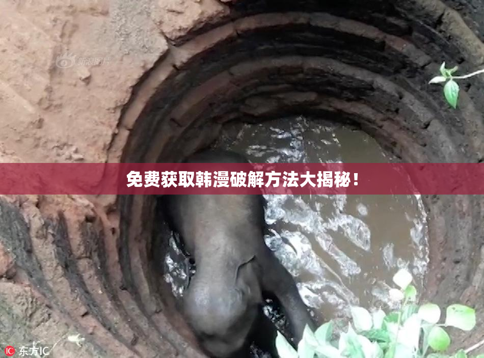 免费获取韩漫破解方法大揭秘！