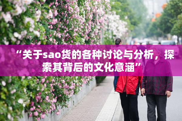“关于sao货的各种讨论与分析，探索其背后的文化意涵”