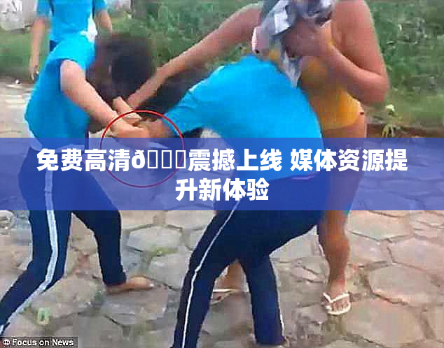 免费高清🔞震撼上线 媒体资源提升新体验