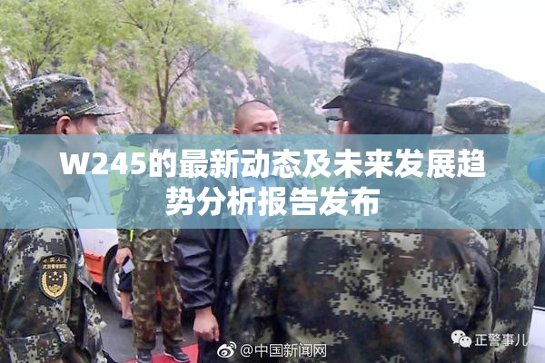 W245的最新动态及未来发展趋势分析报告发布