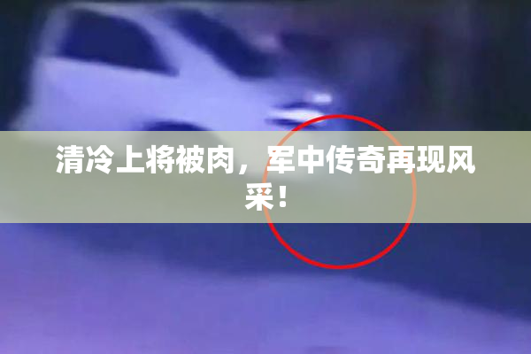 清冷上将被肉，军中传奇再现风采！