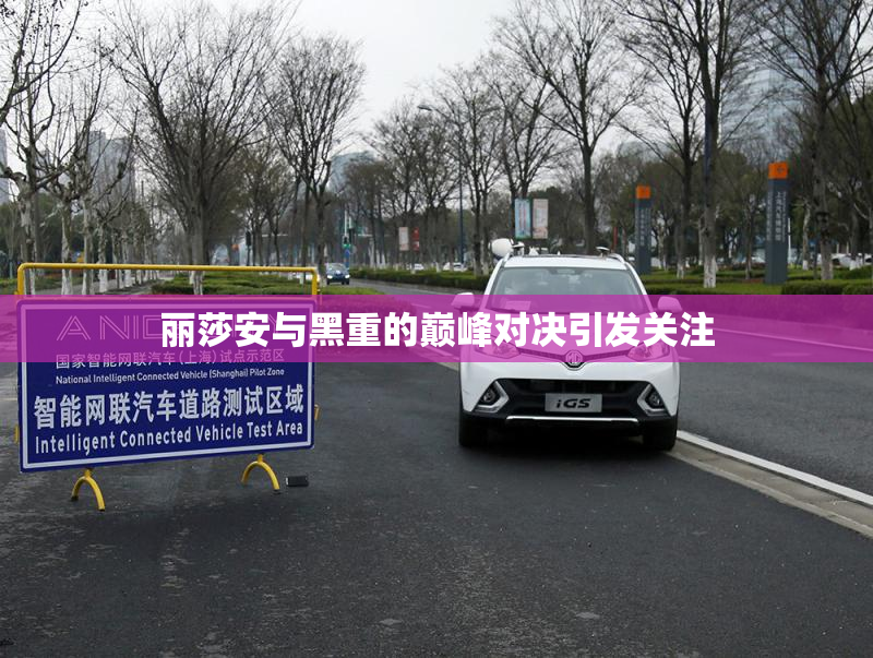 丽莎安与黑重的巅峰对决引发关注