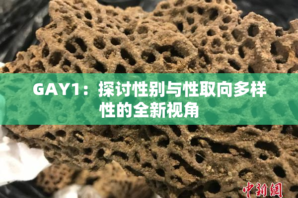 GAY1：探讨性别与性取向多样性的全新视角