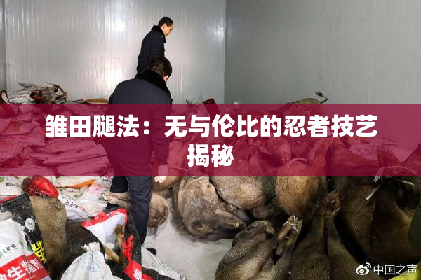 雏田腿法：无与伦比的忍者技艺揭秘