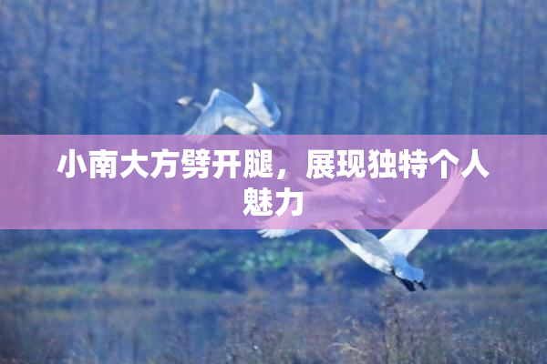 小南大方劈开腿，展现独特个人魅力
