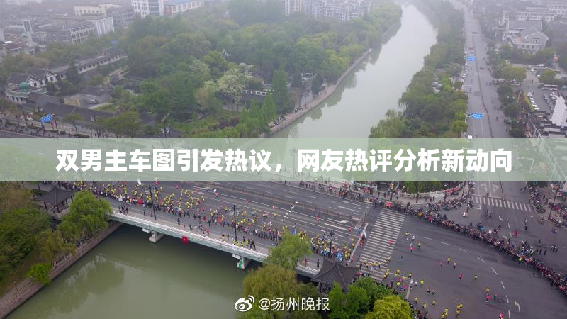 双男主车图引发热议，网友热评分析新动向
