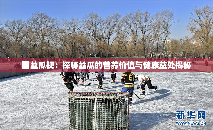 ▉丝瓜视：探秘丝瓜的营养价值与健康益处揭秘