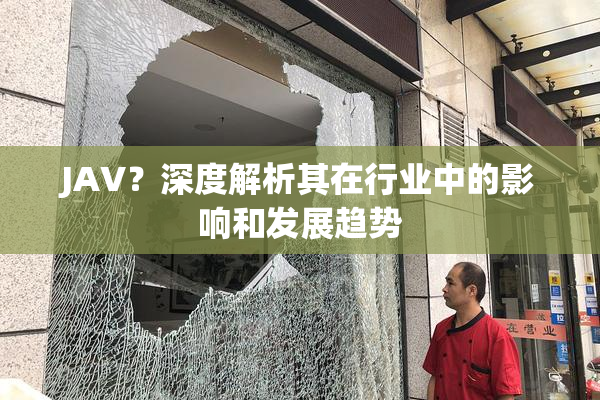 JAV？深度解析其在行业中的影响和发展趋势