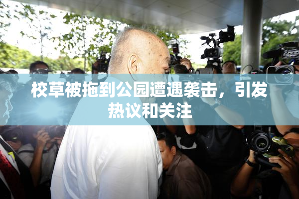 校草被拖到公园遭遇袭击，引发热议和关注