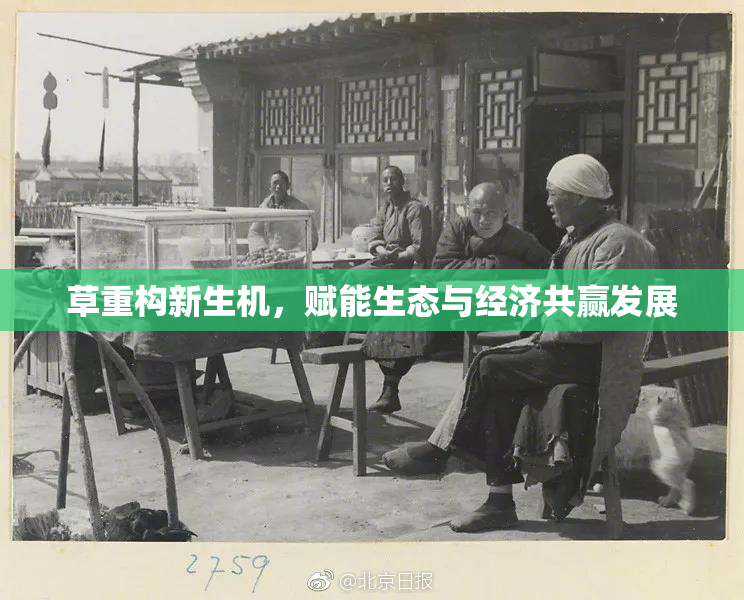 草重构新生机，赋能生态与经济共赢发展