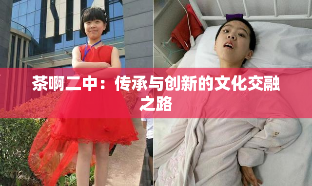 茶啊二中：传承与创新的文化交融之路