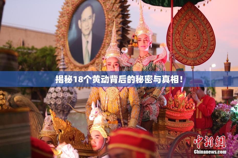 揭秘18个黄动背后的秘密与真相！