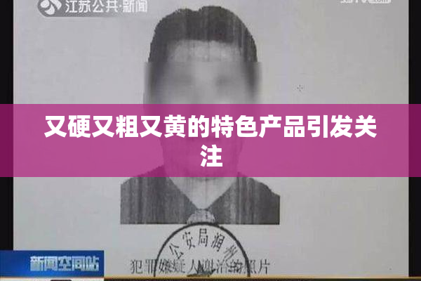 又硬又粗又黄的特色产品引发关注