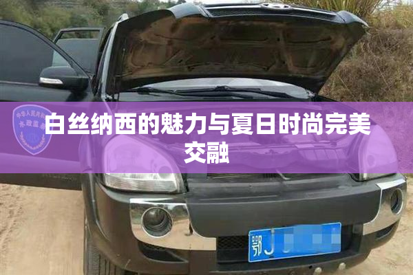 白丝纳西的魅力与夏日时尚完美交融