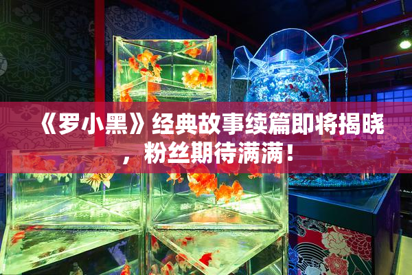 《罗小黑》经典故事续篇即将揭晓，粉丝期待满满！