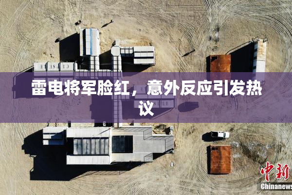 雷电将军脸红，意外反应引发热议