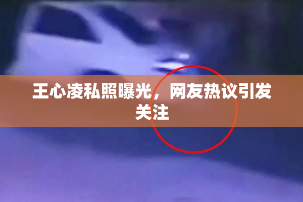 王心凌私照曝光，网友热议引发关注