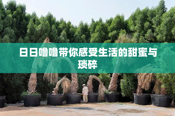 日日噜噜带你感受生活的甜蜜与琐碎