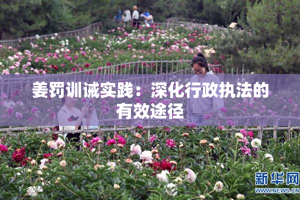 姜罚训诫实践：深化行政执法的有效途径