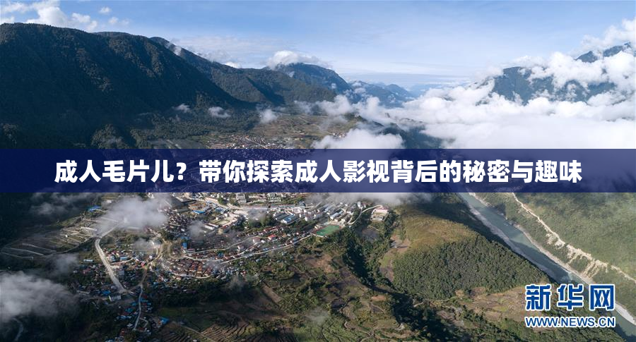 成人毛片儿？带你探索成人影视背后的秘密与趣味