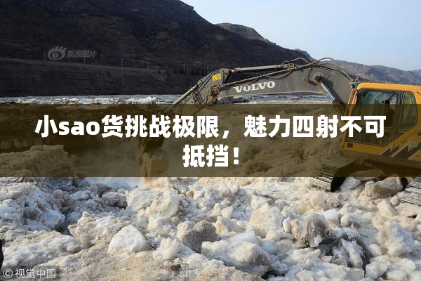 小sao货挑战极限，魅力四射不可抵挡！