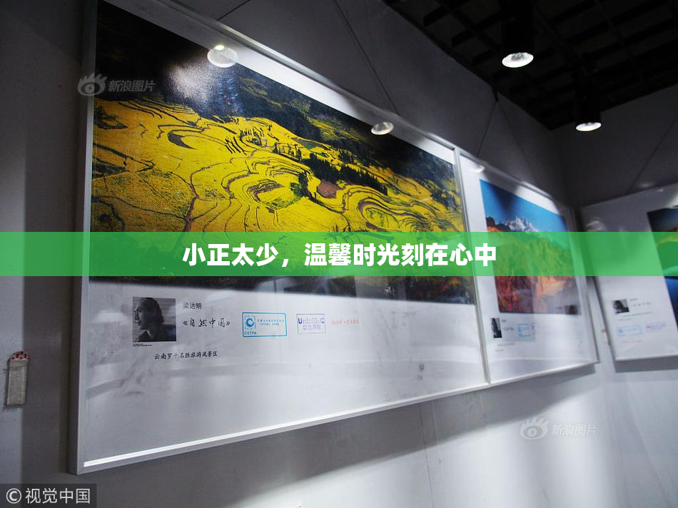 小正太少，温馨时光刻在心中