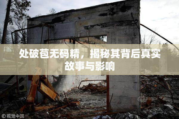 处破苞无码精，揭秘其背后真实故事与影响
