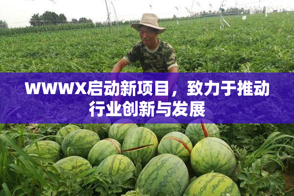 WWWX启动新项目，致力于推动行业创新与发展