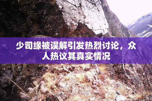 少司缘被误解引发热烈讨论，众人热议其真实情况