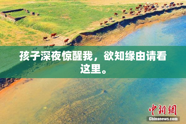 孩子深夜惊醒我，欲知缘由请看这里。
