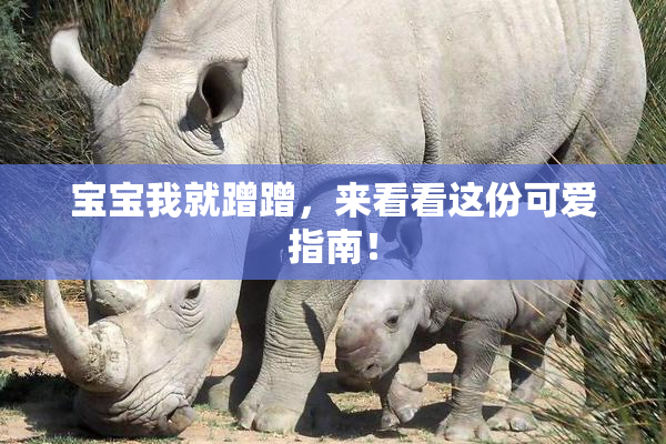 宝宝我就蹭蹭，来看看这份可爱指南！