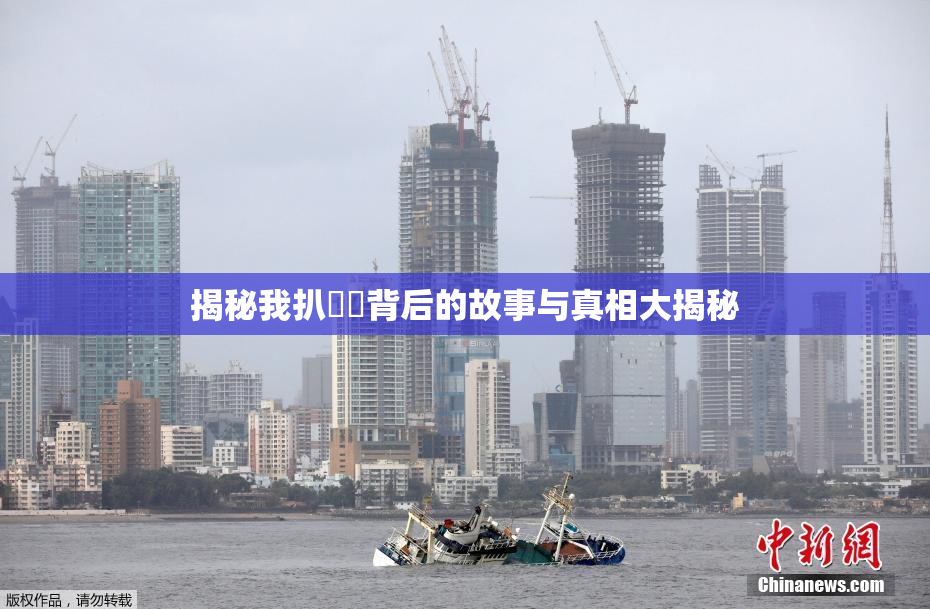 揭秘我扒妺妺背后的故事与真相大揭秘