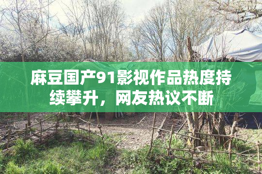 麻豆国产91影视作品热度持续攀升，网友热议不断