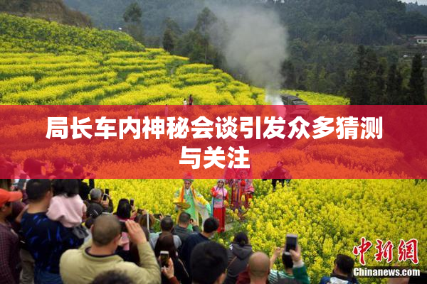 局长车内神秘会谈引发众多猜测与关注