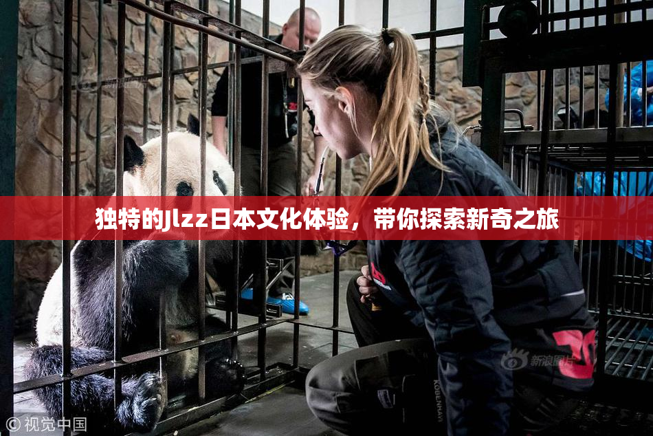 独特的Jlzz日本文化体验，带你探索新奇之旅