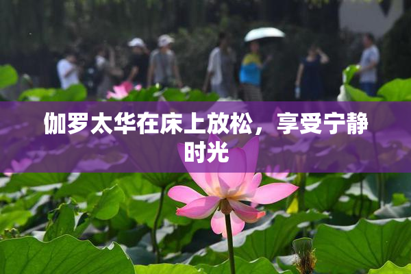 伽罗太华在床上放松，享受宁静时光