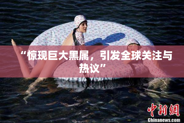 “惊现巨大黑属，引发全球关注与热议”